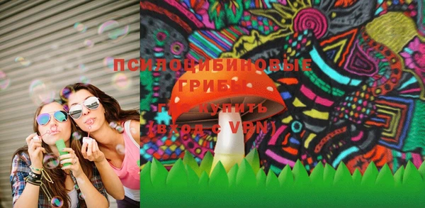 шишки Алзамай
