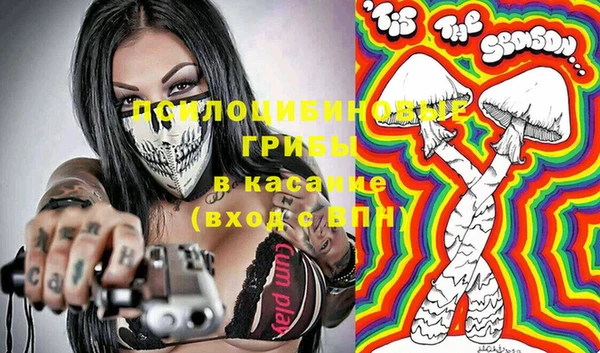 шишки Алзамай