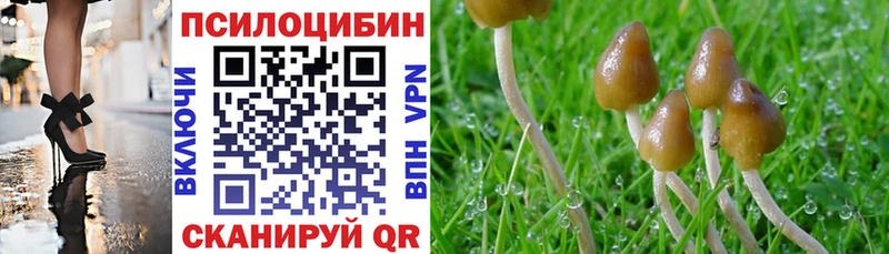 Галлюциногенные грибы ЛСД даркнет наркотические препараты Зеленоградск